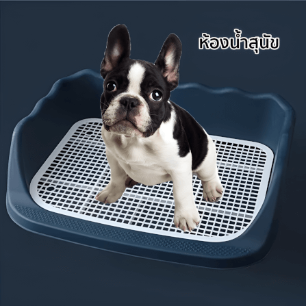 ห้องน้ำสุนัข THAI SUN SPORT รุ่น PET0004-BU_1